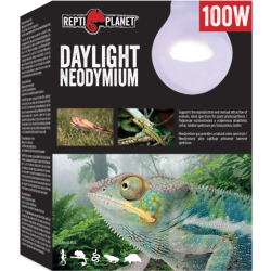 Pære "Daylight Neodymium" 100W