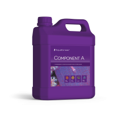 Component A 2000 ml